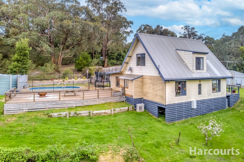 Photo - 290 Becks Bridge Road, Tanjil South VIC 3825 - Image 20