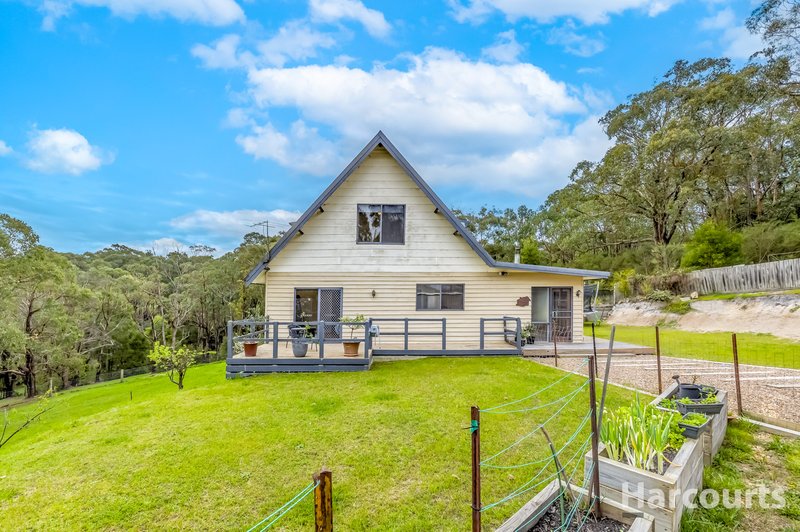 Photo - 290 Becks Bridge Road, Tanjil South VIC 3825 - Image 22