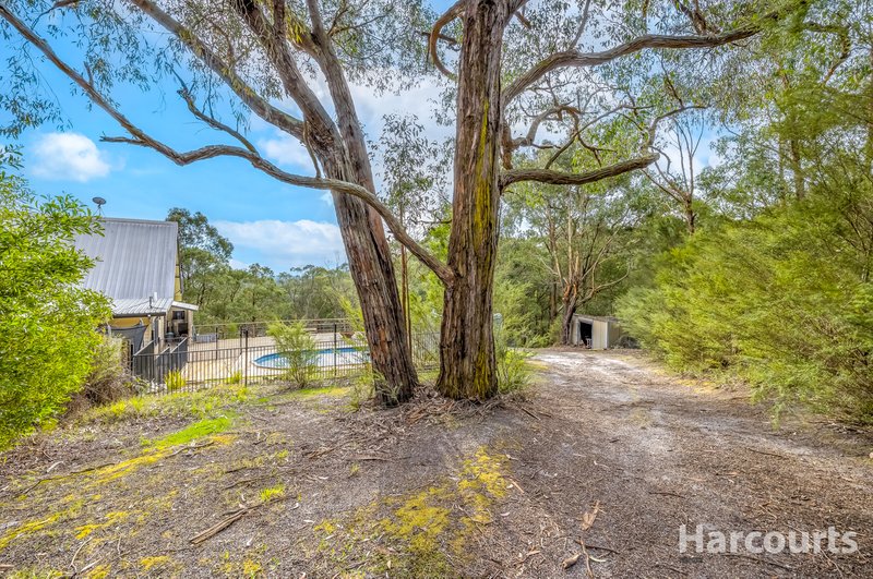 Photo - 290 Becks Bridge Road, Tanjil South VIC 3825 - Image 25