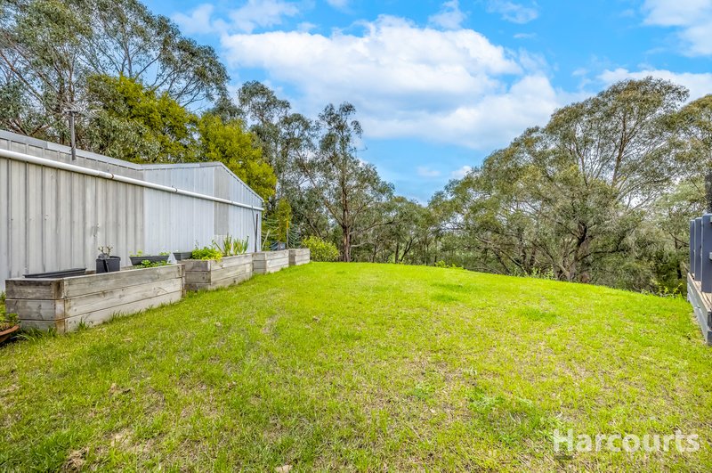 Photo - 290 Becks Bridge Road, Tanjil South VIC 3825 - Image 26