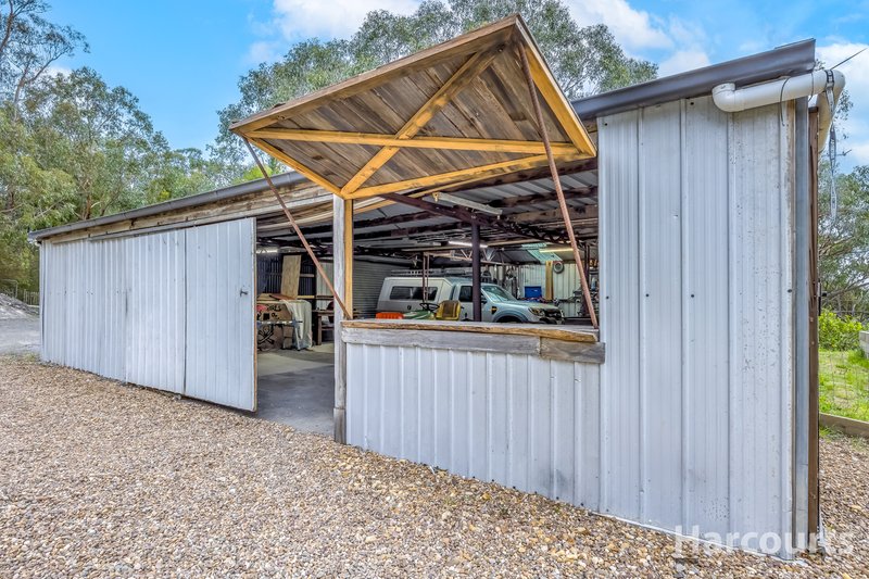 Photo - 290 Becks Bridge Road, Tanjil South VIC 3825 - Image 28