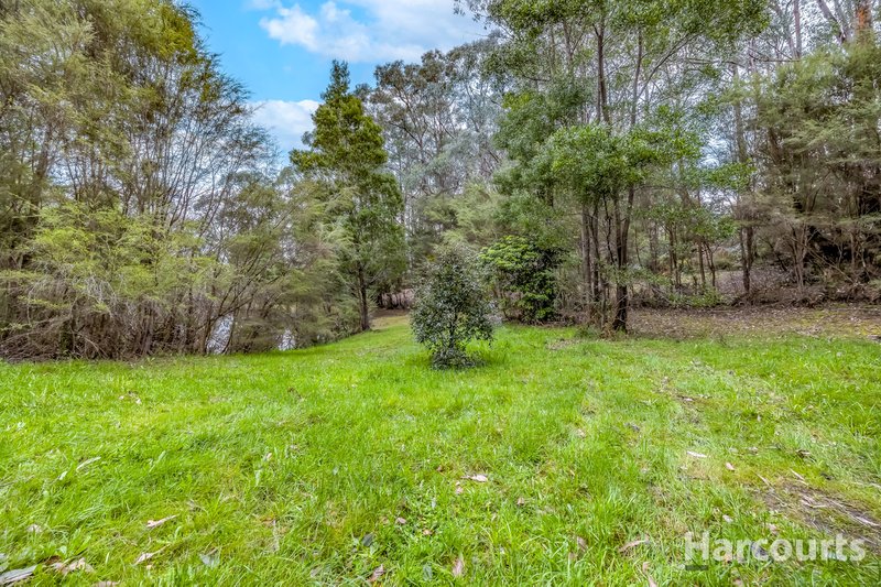 Photo - 290 Becks Bridge Road, Tanjil South VIC 3825 - Image 33