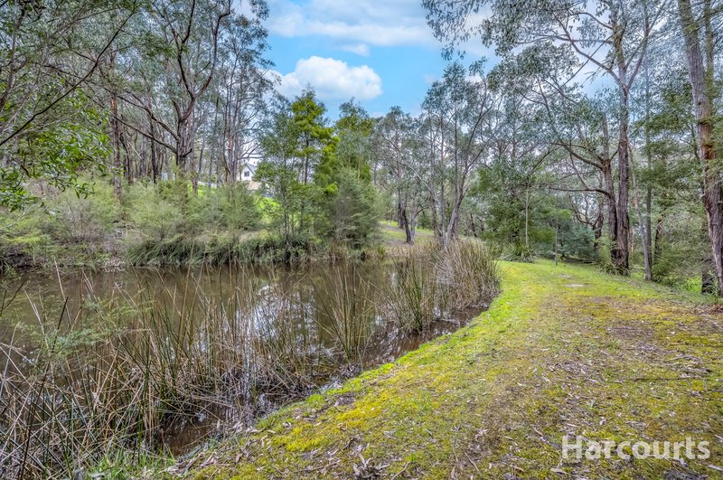 Photo - 290 Becks Bridge Road, Tanjil South VIC 3825 - Image 35