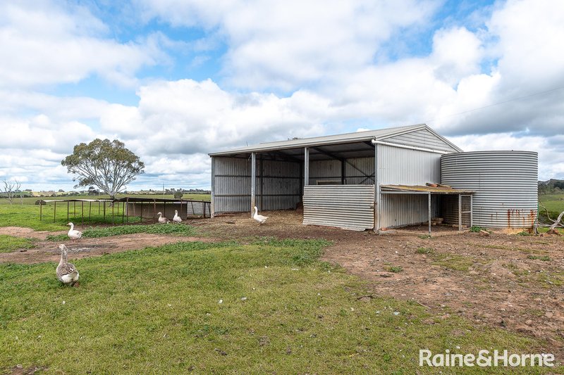 Photo - 290 Hope Watts Road, Brukunga SA 5252 - Image 24