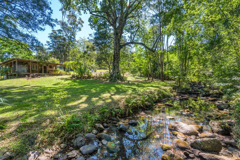 Photo - 290 Repentance Creek Road, Goonengerry NSW 2482 - Image 7