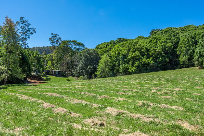 Photo - 290 Repentance Creek Road, Goonengerry NSW 2482 - Image 12