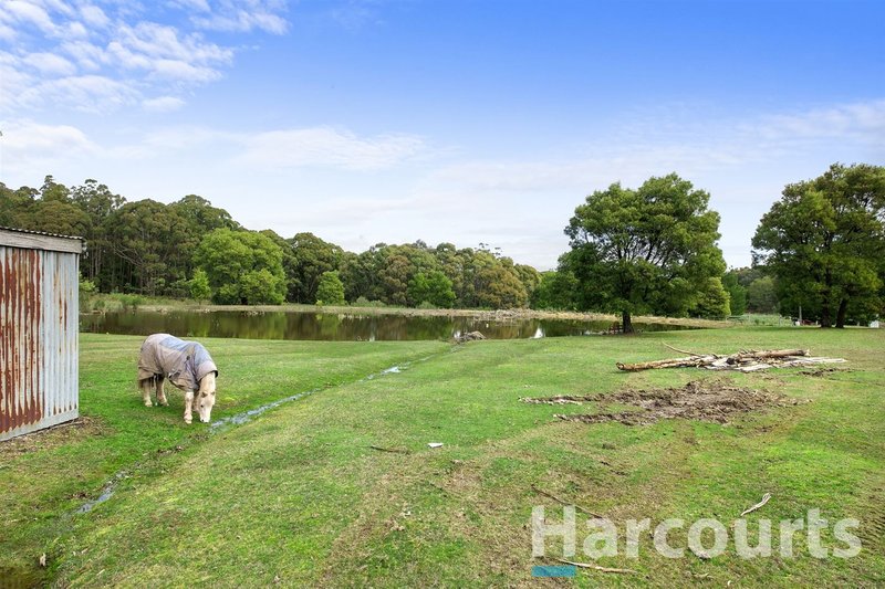 Photo - 290 Treweeks Road, Blampied VIC 3364 - Image 15