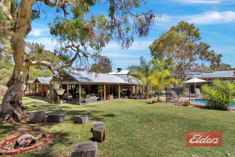 Photo - 290 Williamstown Road, Cockatoo Valley SA 5351 - Image 3