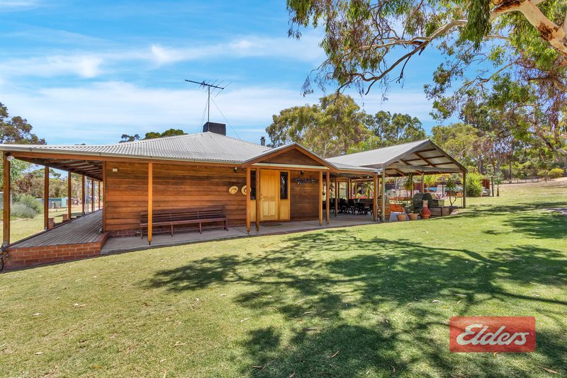 Photo - 290 Williamstown Road, Cockatoo Valley SA 5351 - Image 4