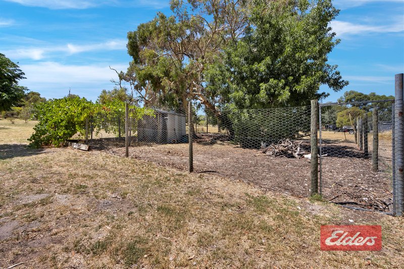 Photo - 290 Williamstown Road, Cockatoo Valley SA 5351 - Image 32