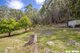 Photo - 2901 The Lakes Way, Bungwahl NSW 2423 - Image 7