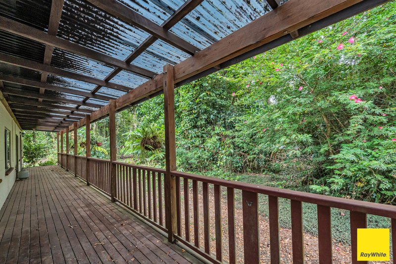 Photo - 2905 Mossman Daintree Road, Lower Daintree QLD 4873 - Image 14