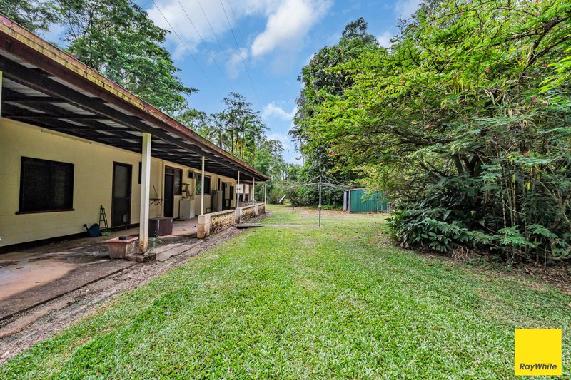 Photo - 2905 Mossman Daintree Road, Lower Daintree QLD 4873 - Image 15