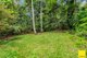 Photo - 2905 Mossman Daintree Road, Lower Daintree QLD 4873 - Image 16