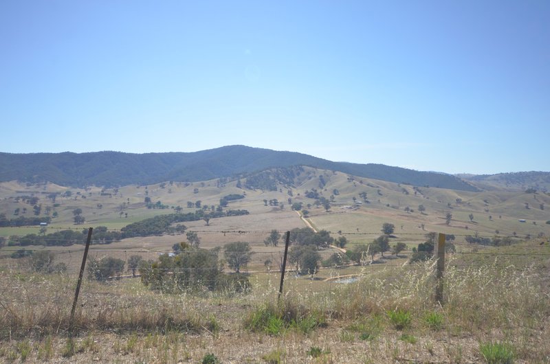 Photo - 290a Talgarno Gap Road, Bethanga VIC 3691 - Image 17