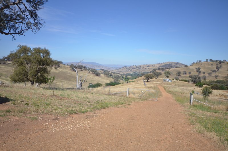 Photo - 290a Talgarno Gap Road, Bethanga VIC 3691 - Image 21