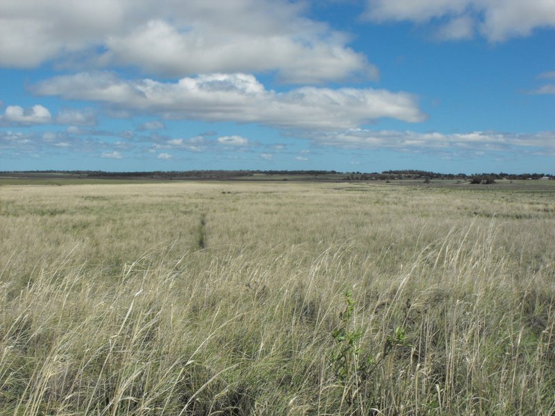 Photo - 291 Back Plains Road, Back Plains QLD 4361 - Image 7