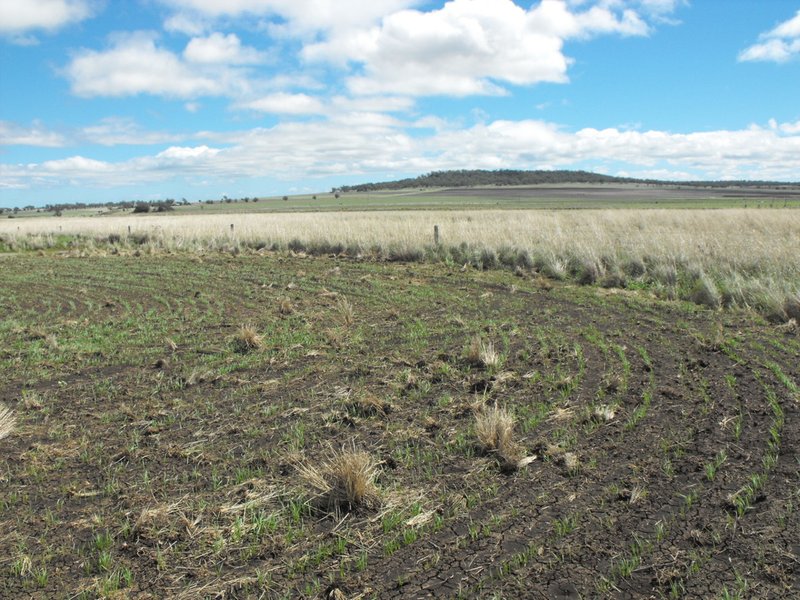 Photo - 291 Back Plains Road, Back Plains QLD 4361 - Image 9