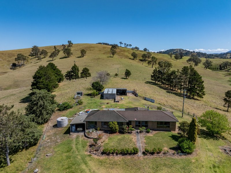 Photo - 291 Coopers Gully Road, Bega NSW 2550 - Image 4