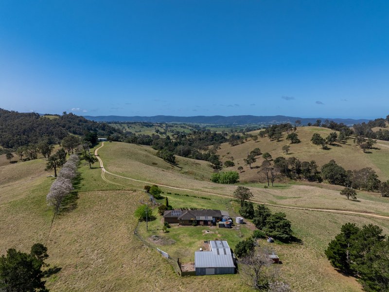 Photo - 291 Coopers Gully Road, Bega NSW 2550 - Image 5