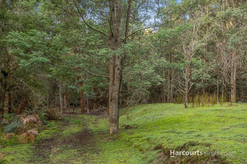 Photo - 291 Dickensons Creek Road, Glen Huon TAS 7109 - Image 18