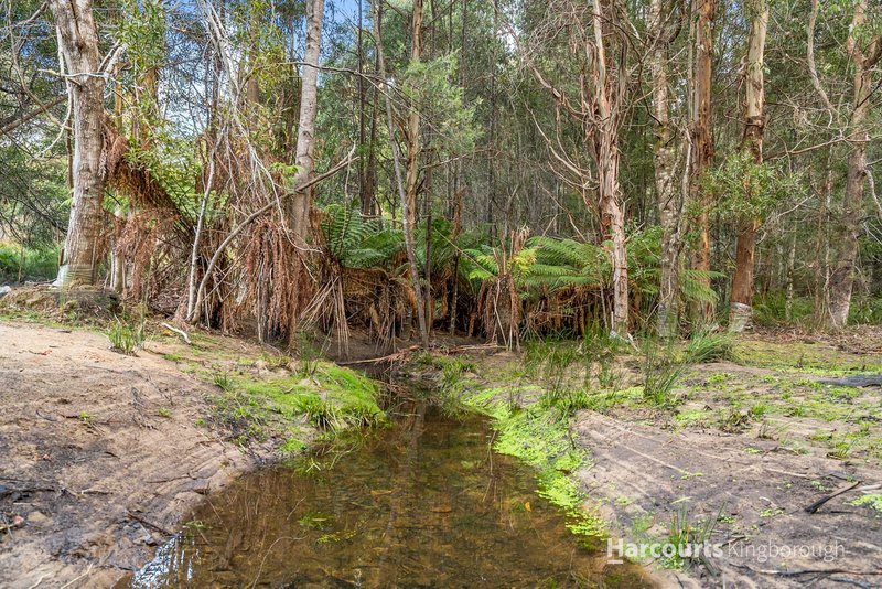 Photo - 291 Dickensons Creek Road, Glen Huon TAS 7109 - Image 20