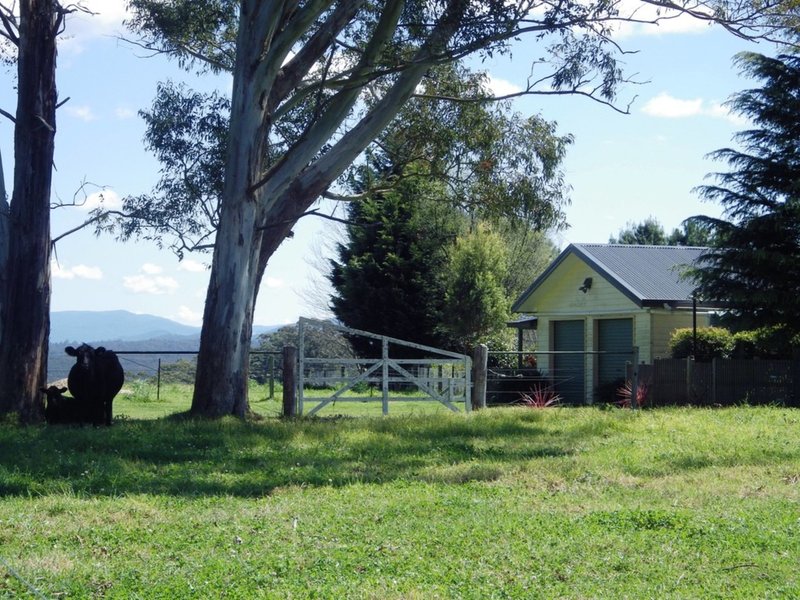 Photo - 291 Paddys Plain Road, Dorrigo NSW 2453 - Image 2