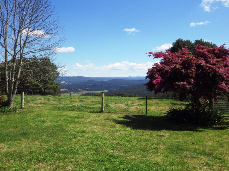 Photo - 291 Paddys Plain Road, Dorrigo NSW 2453 - Image 7