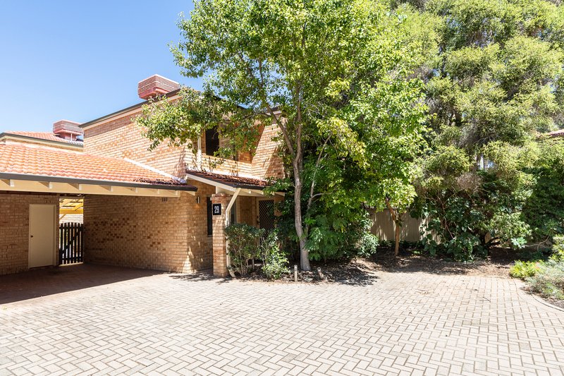 Photo - 29/15 Jugan Street, Mount Hawthorn WA 6016 - Image 2