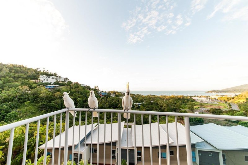 Photo - 29/18 Raintree Place, Airlie Beach QLD 4802 - Image 14