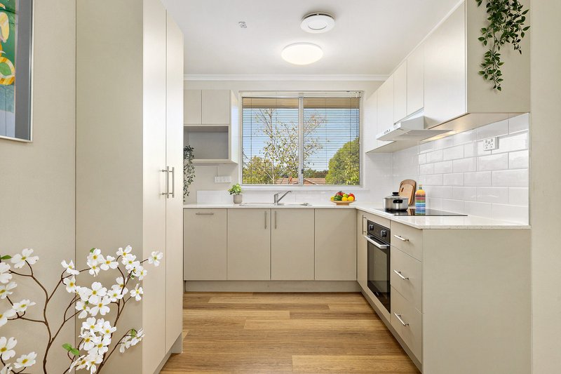 Photo - 29/2-4 Clianthus Street, O'Connor ACT 2602 - Image 3