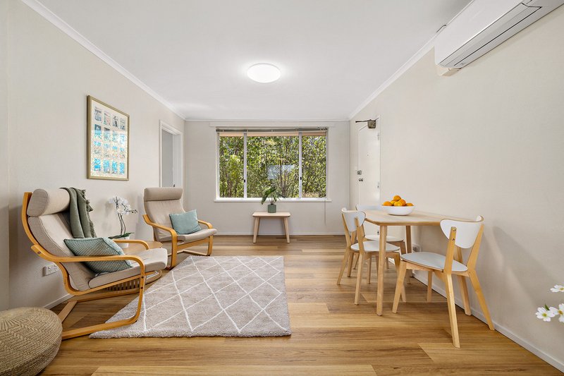 Photo - 29/2-4 Clianthus Street, O'Connor ACT 2602 - Image 4