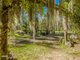 Photo - 292 Arborten Road, Glenwood QLD 4570 - Image 6