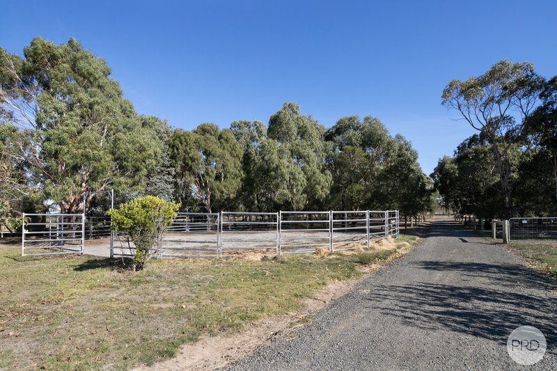 Photo - 292 Scotchmans Lead Road, Scotchmans Lead VIC 3352 - Image 18