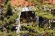 Photo - 29/24 Trickett Street, Surfers Paradise QLD 4217 - Image 5