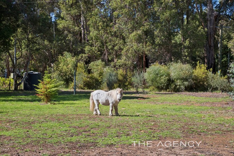 Photo - 2925 Lilydale Road, Chidlow WA 6556 - Image 25