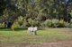 Photo - 2925 Lilydale Road, Chidlow WA 6556 - Image 25