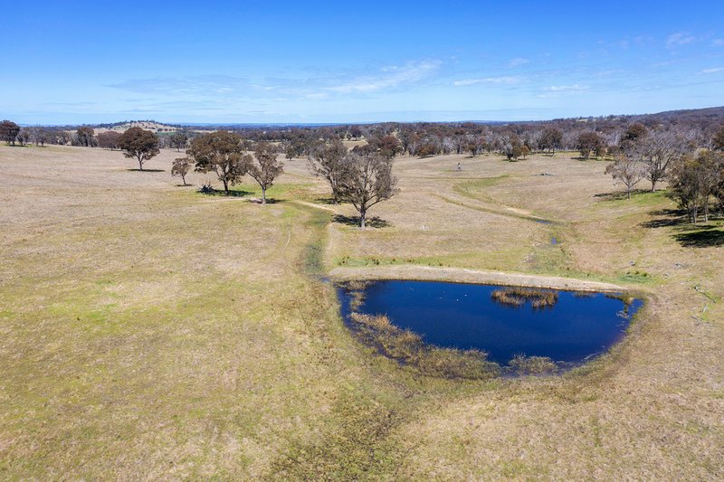 2929 Rockvale Road, Armidale NSW 2350