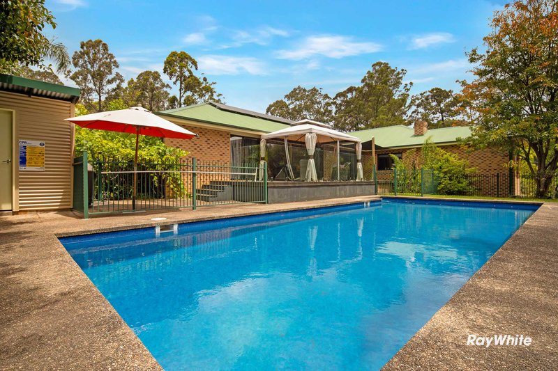 Photo - 293 Araluen Road, Moruya NSW 2537 - Image 8