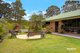 Photo - 293 Araluen Road, Moruya NSW 2537 - Image 29