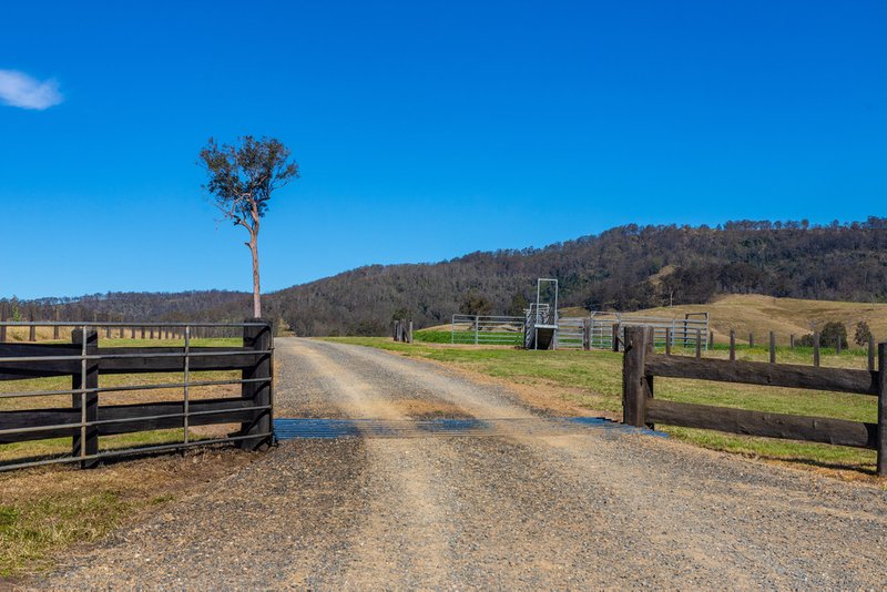 Photo - 293 Hanleys Creek Road, Tabbil Creek Via , Dungog NSW 2420 - Image 15