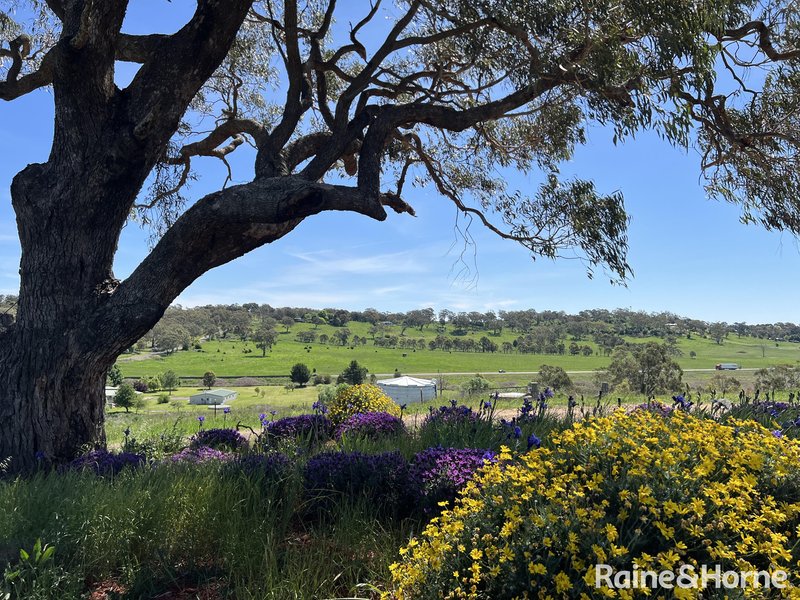 Photo - 293 Icely Road, Orange NSW 2800 - Image 23