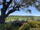 Photo - 293 Icely Road, Orange NSW 2800 - Image 23