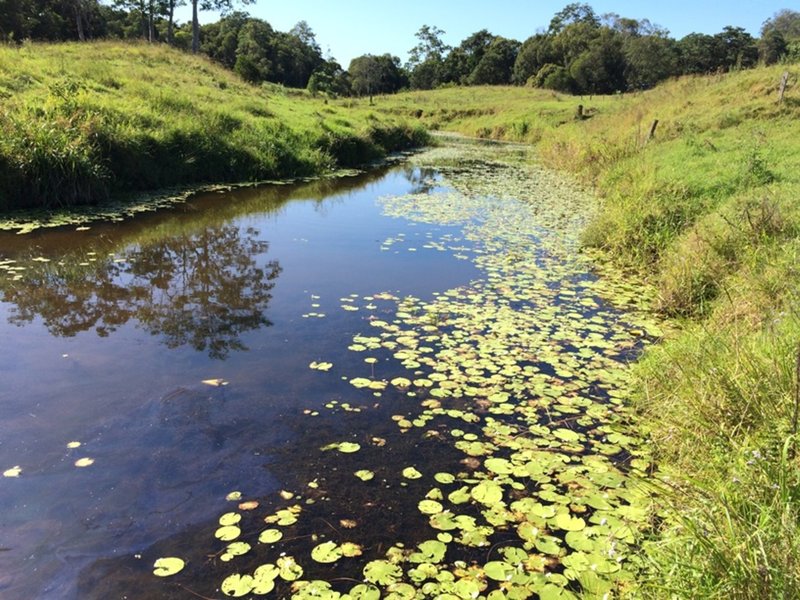 Photo - 293 Middle Creek Road, Federal QLD 4568 - Image 3