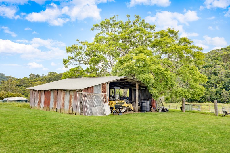 Photo - 293 Middle Creek Road, Federal QLD 4568 - Image 15