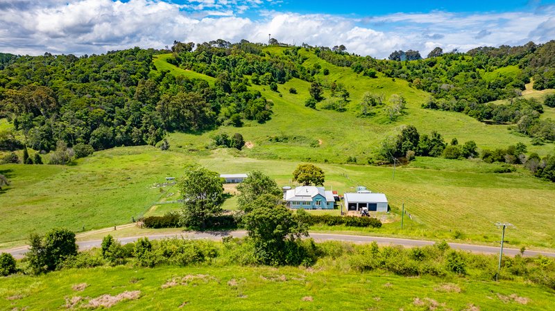 Photo - 293 Middle Creek Road, Federal QLD 4568 - Image 17