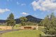 Photo - 293 Tallowa Dam Road, Kangaroo Valley NSW 2577 - Image 5