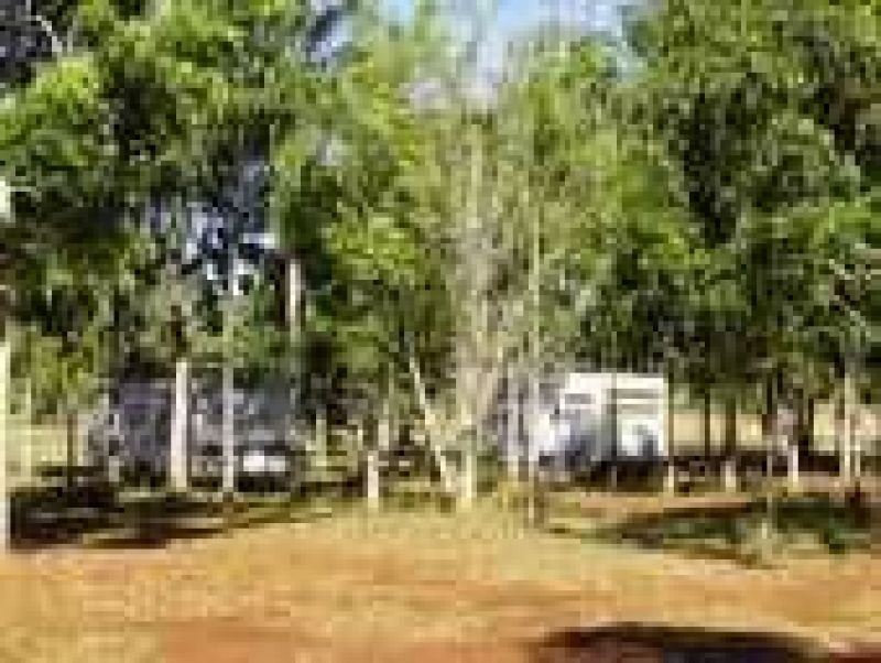 Photo - 2933 Litchfield Park Road, Batchelor NT 0845 - Image 16