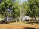 Photo - 2933 Litchfield Park Road, Batchelor NT 0845 - Image 16