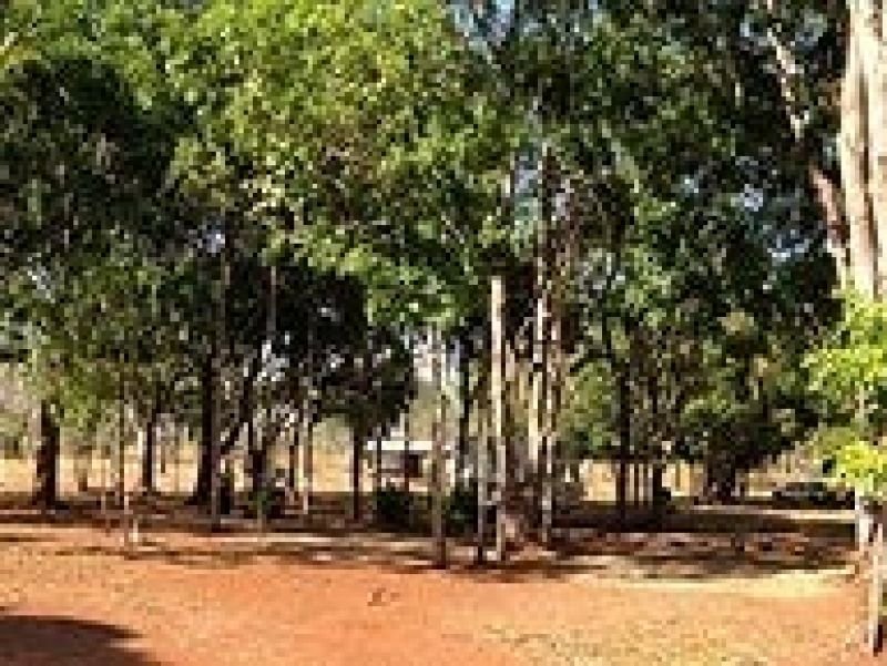 Photo - 2933 Litchfield Park Road, Batchelor NT 0845 - Image 17